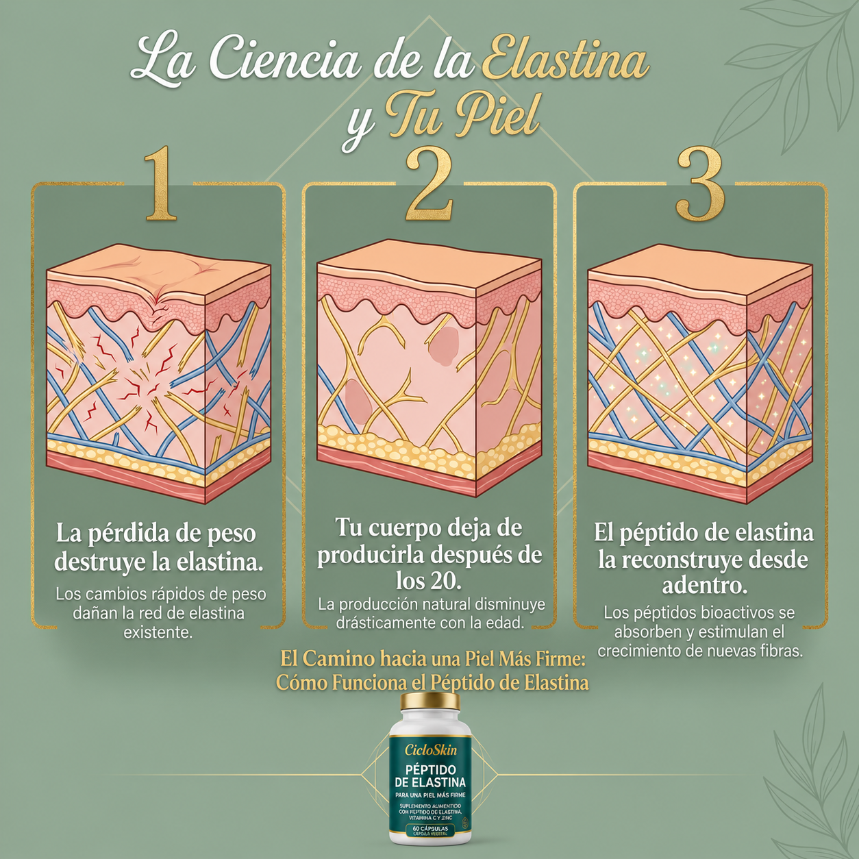 Fórmula Reafirmante de la Piel con Péptidos de Elastina