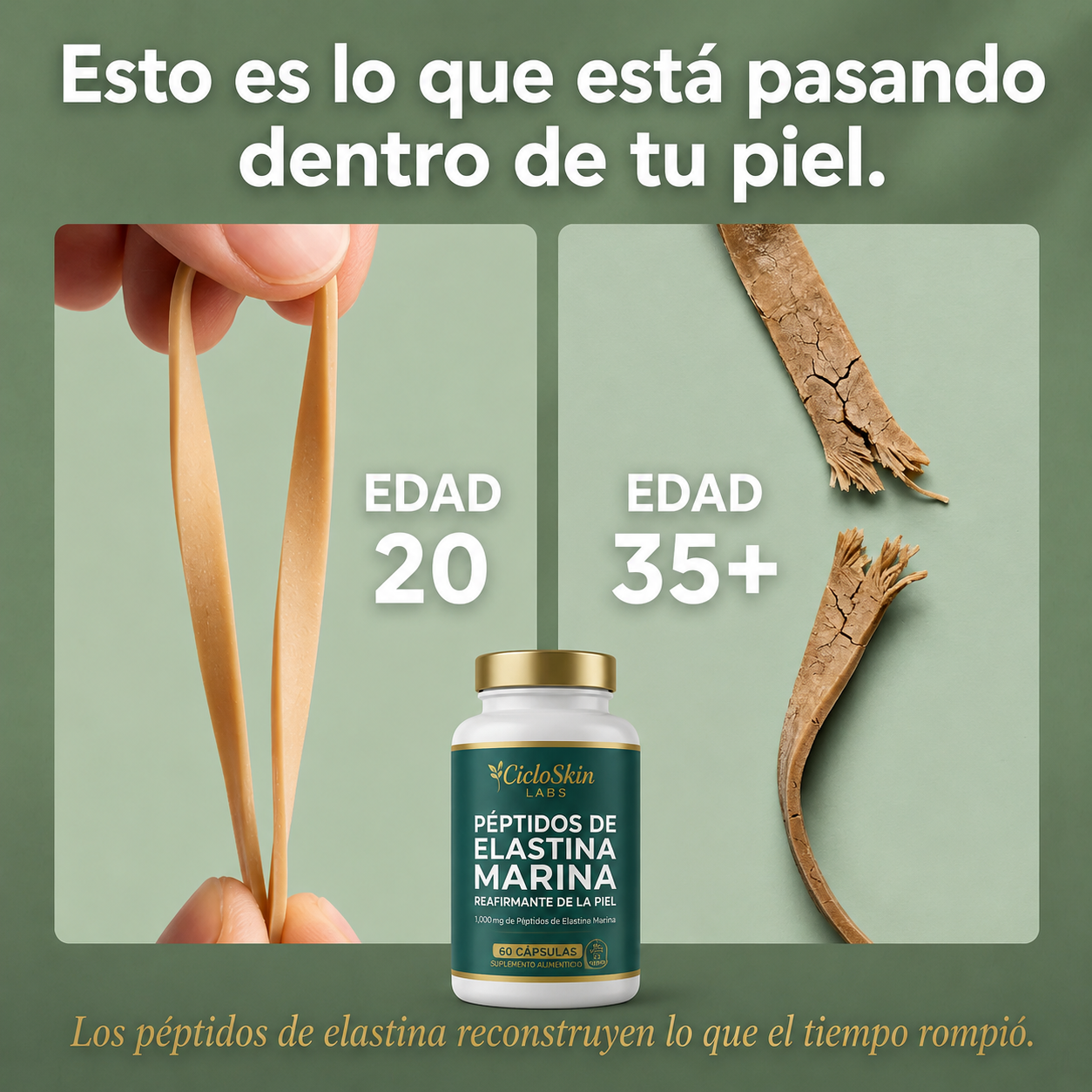 Fórmula Reafirmante de la Piel con Péptidos de Elastina