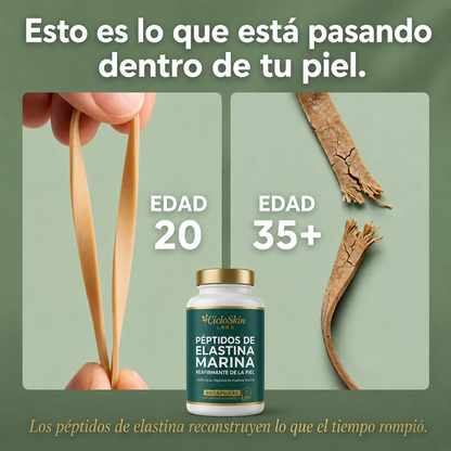 Fórmula Reafirmante de la Piel con Péptidos de Elastina